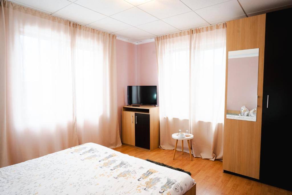 Cameră luminoasă cu pat dublu, două ferestre cu perdele, televizor și dulap cu oglindă.