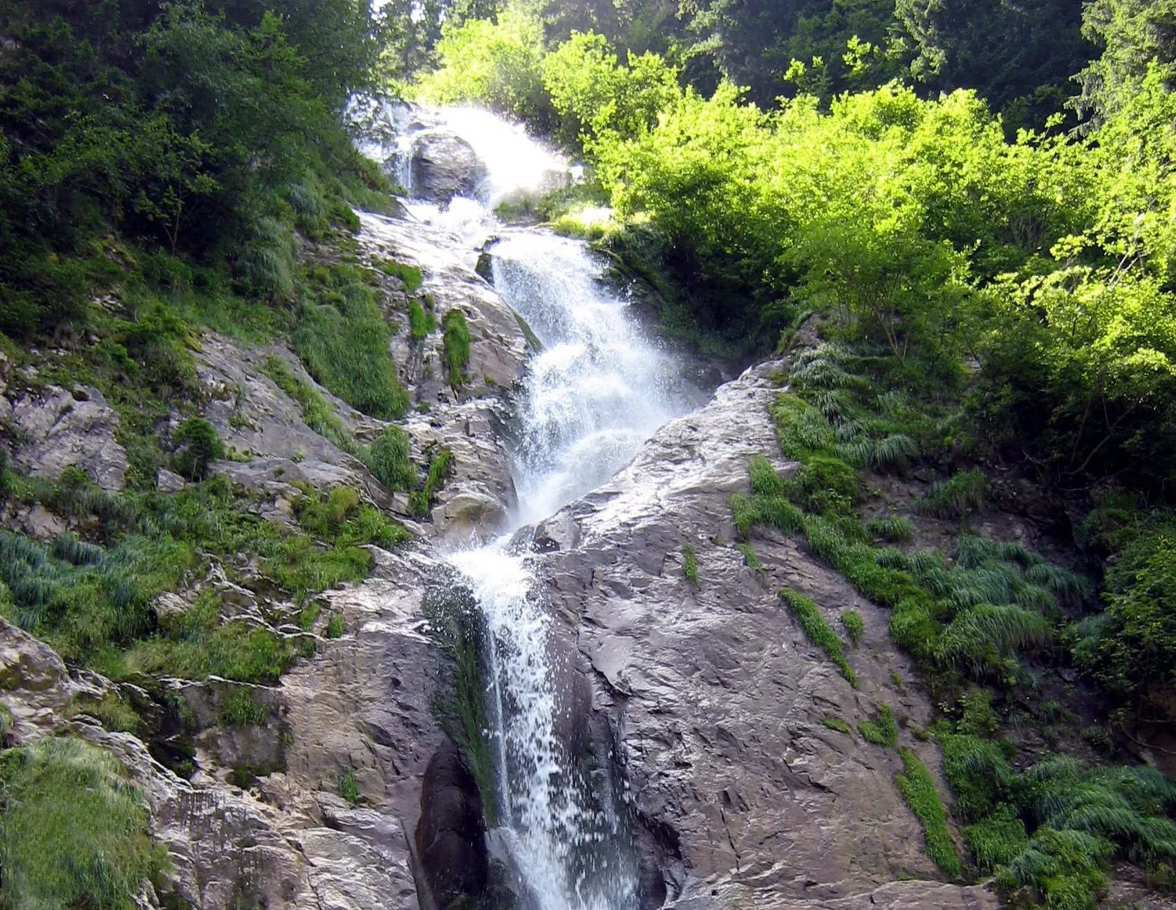 Cascada Cailor curgând în trepte peste stâncă, între molizi și vegetație verde.