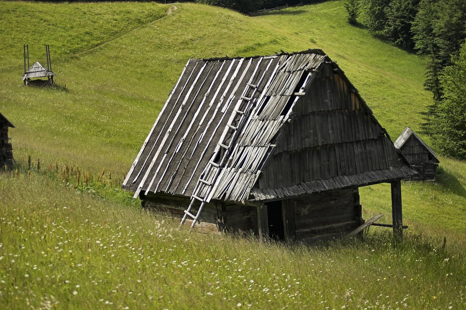 Colibă veche de lemn pe o pajiște de munte din Maramureș.