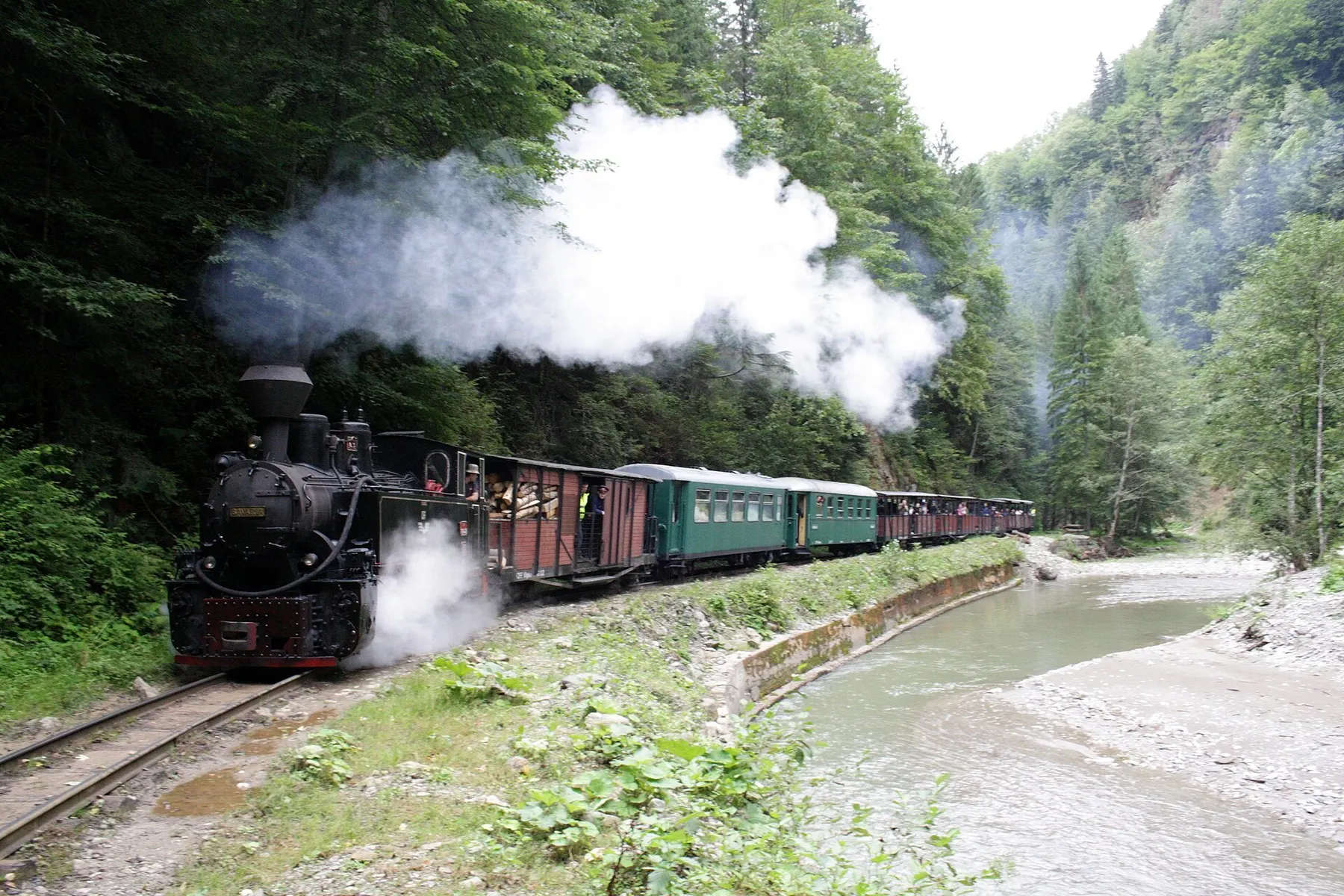 Mocănița cu locomotivă cu aburi trăgând vagoane pe Valea Vaserului, lângă râu.