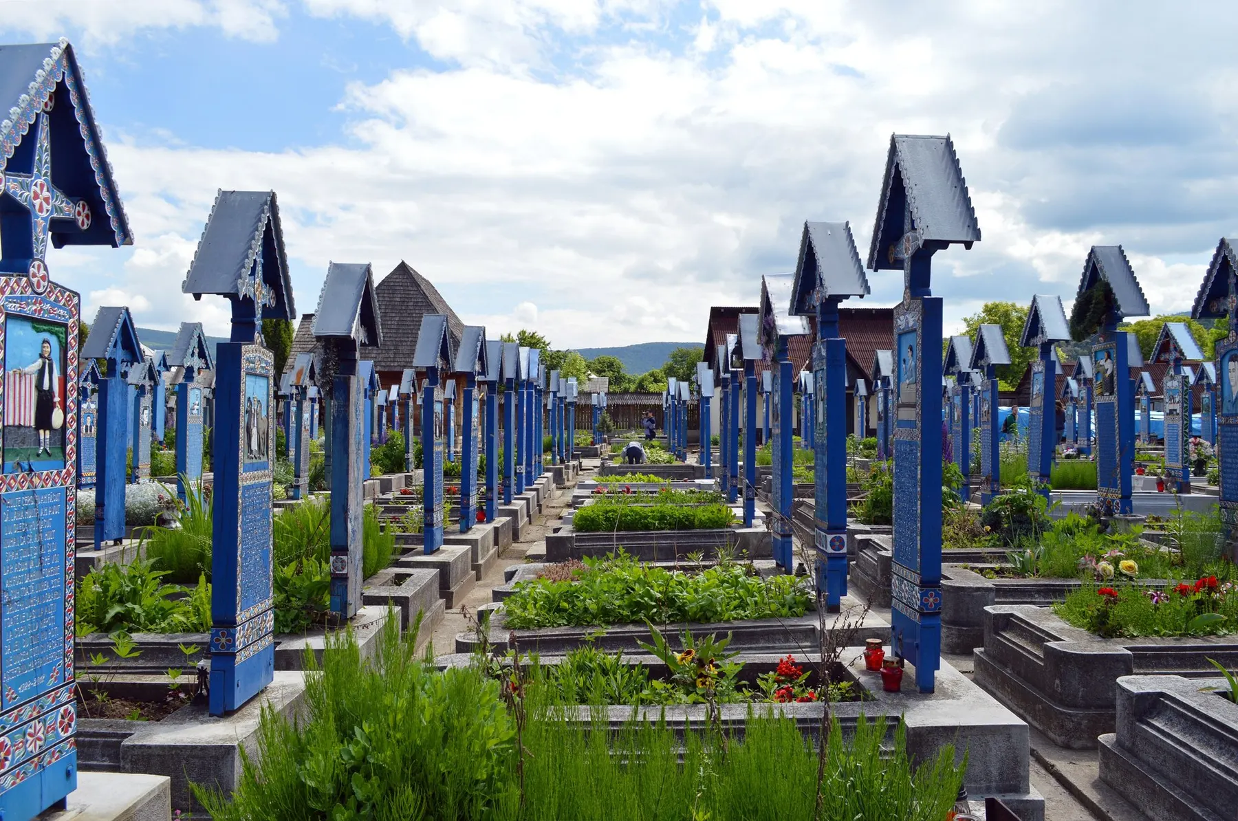 Cimitirul Vesel din Săpânța: șiruri de cruci de lemn albastre, pictate, între flori.