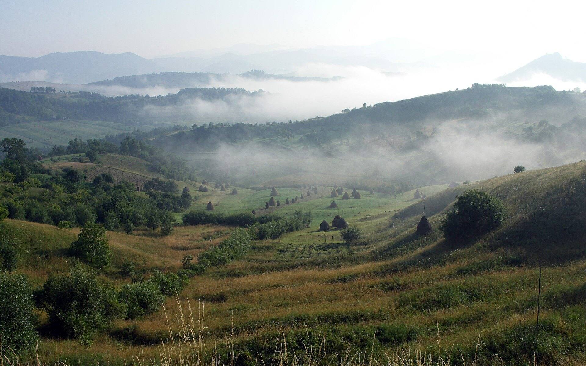Dealurile Maramureșului în ceața dimineții, la Văleni.