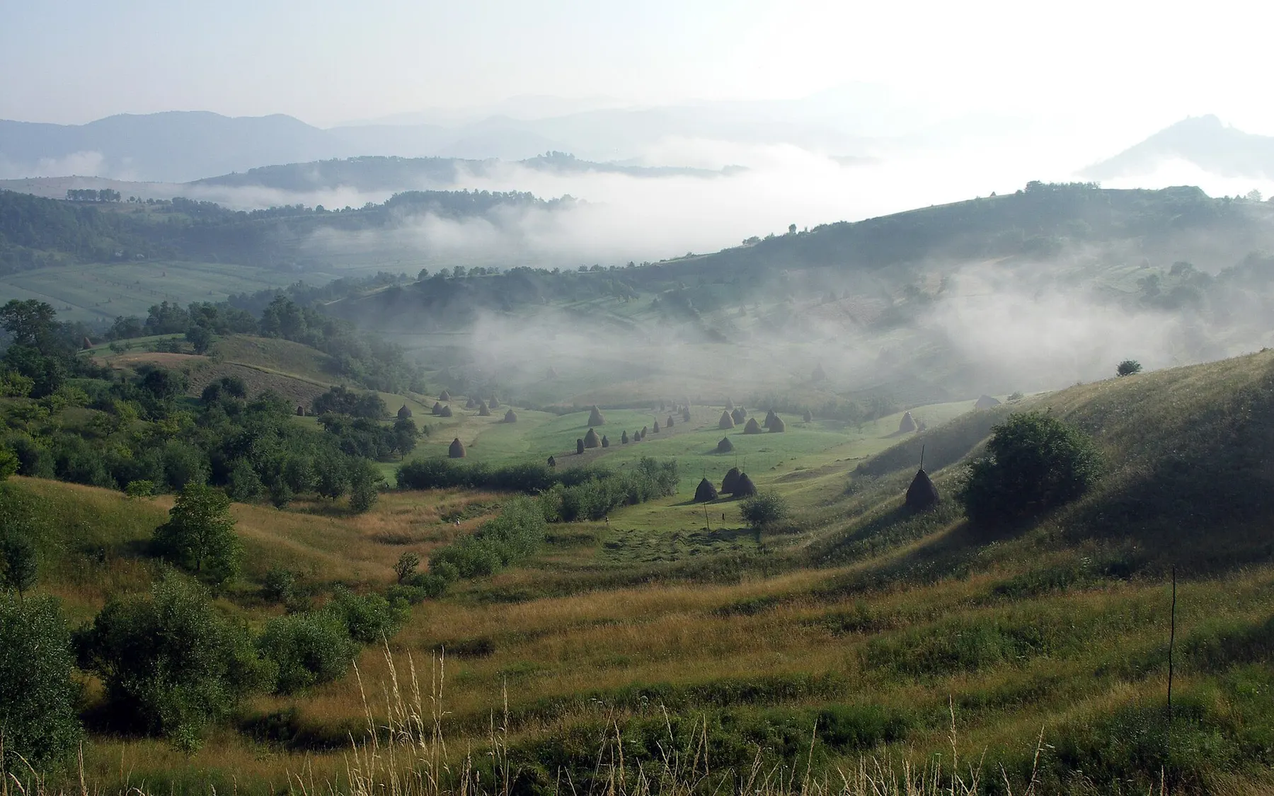 Dealurile Maramureșului în ceața dimineții, la Văleni.